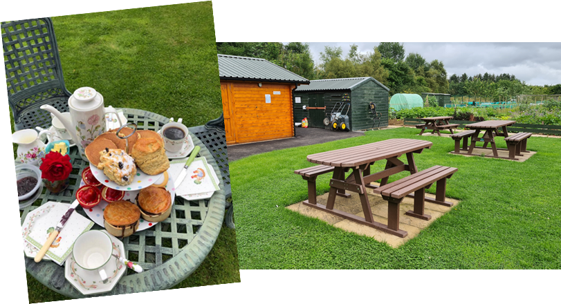 Aden Allotments Picnic Area